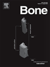 Bone期刊封面